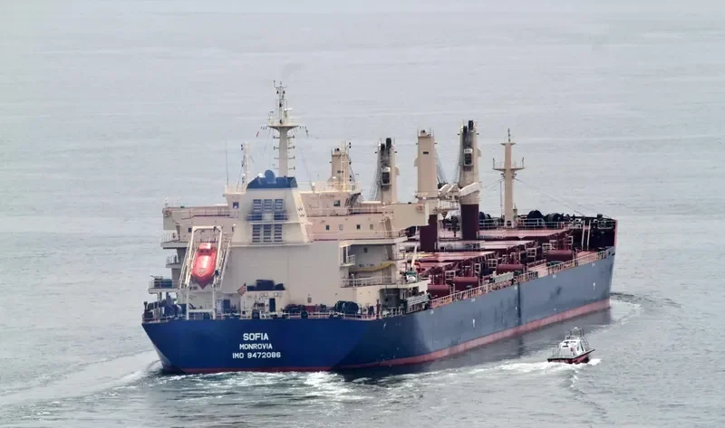 SOFIA Bulk Carrier IMO 9472086 photo 10