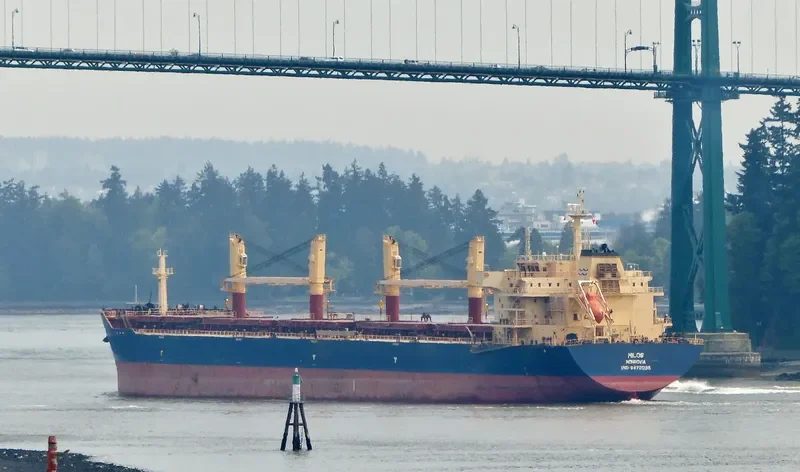 MILOS Bulk Carrier IMO 9472098 photo 2