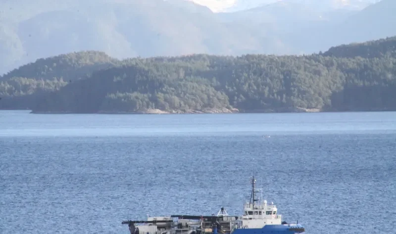 FROY MERLIN General Cargo IMO 9472232