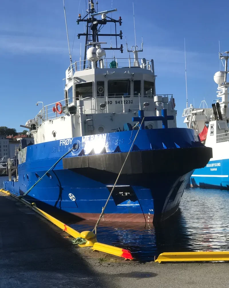 FROY MERLIN General Cargo IMO 9472232 photo 2