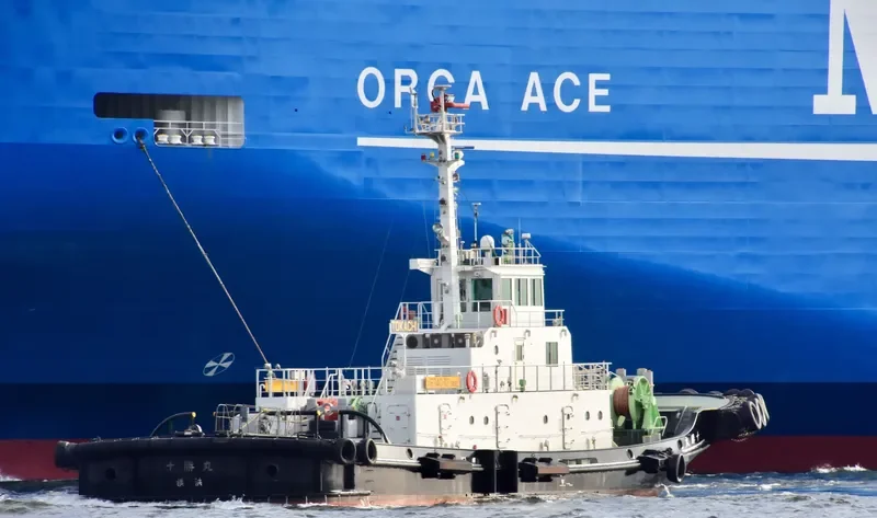 CHANGHONGTUO8 General Cargo IMO 9472517 photo 8