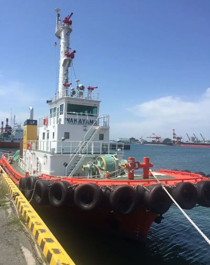 WAKAYAMA General Cargo IMO 9472531 photo 2