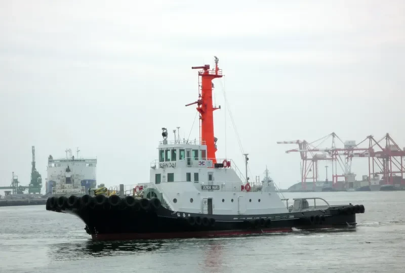 SENDAI MARU General Cargo IMO 9472555 photo 2