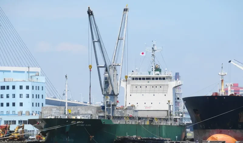 WESTWIND BLISS General Cargo IMO 9472672 photo 5