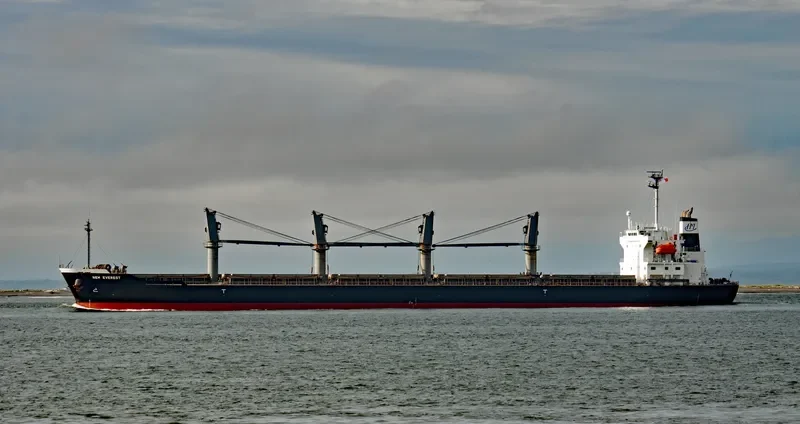 EVEREST K Bulk Carrier IMO 9472696
