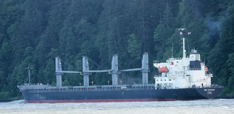 EVEREST K Bulk Carrier IMO 9472696 photo 3