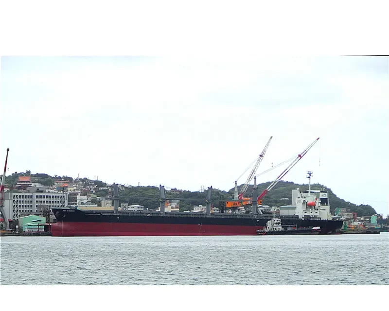 EVEREST K Bulk Carrier IMO 9472696 photo 8