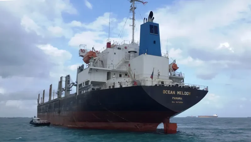 VENTO GRECALE Bulk Carrier IMO 9472701 photo 4