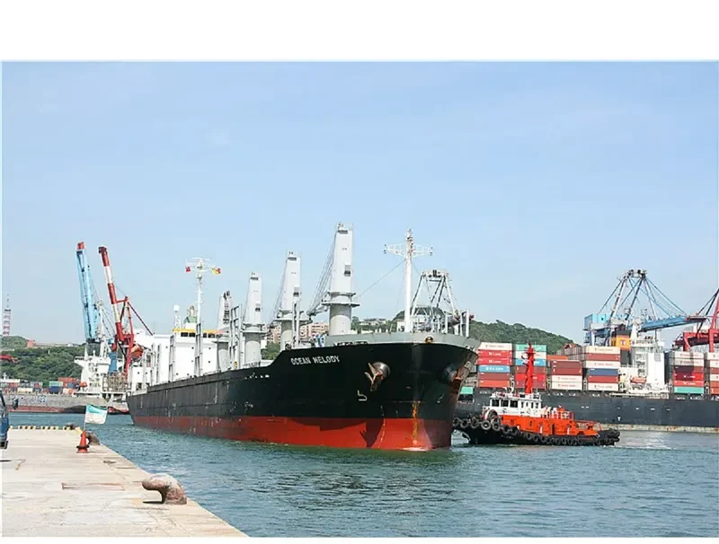 VENTO GRECALE Bulk Carrier IMO 9472701 photo 6