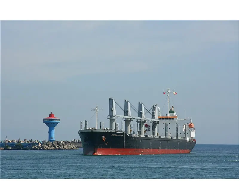 VENTO GRECALE Bulk Carrier IMO 9472701 photo 7