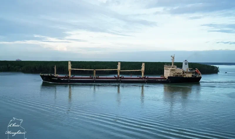 ANTHEIA Bulk Carrier IMO 9473078