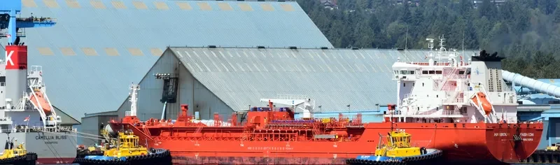 HARBOUR FASHION Tanker IMO 9473080 photo 6