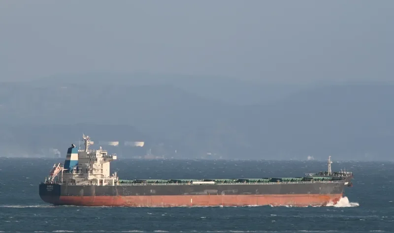 SAMOA Bulk Carrier IMO 9473157 photo 5