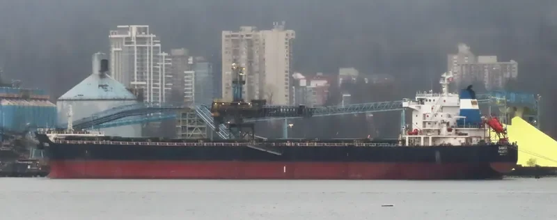 SAMOA Bulk Carrier IMO 9473157 photo 9