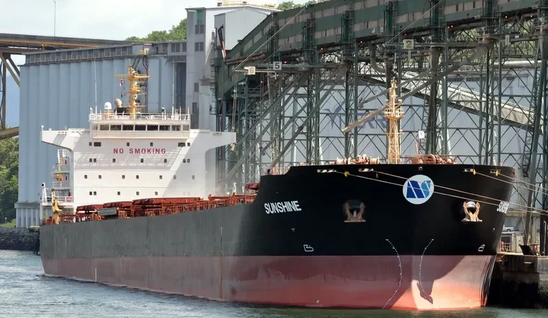 SELINA Bulk Carrier IMO 9473183 photo 2
