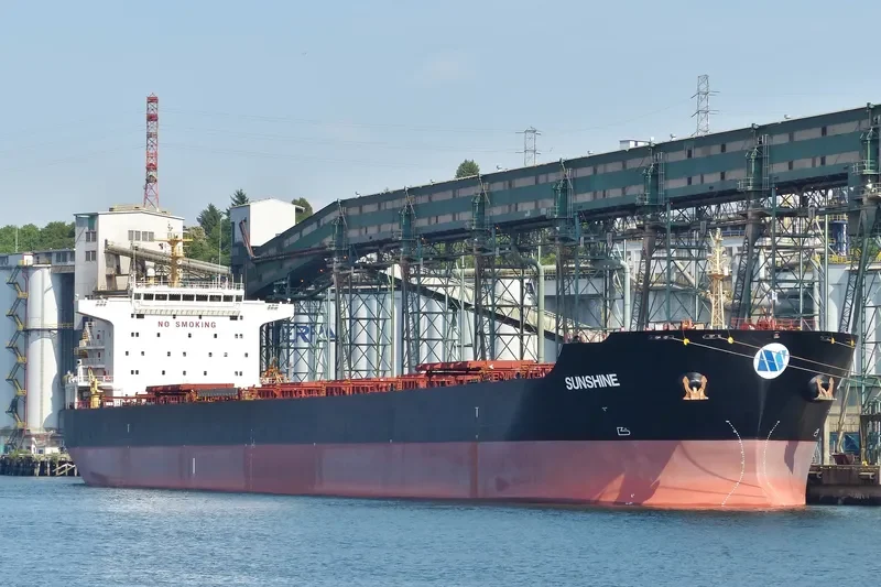 SELINA Bulk Carrier IMO 9473183 photo 4