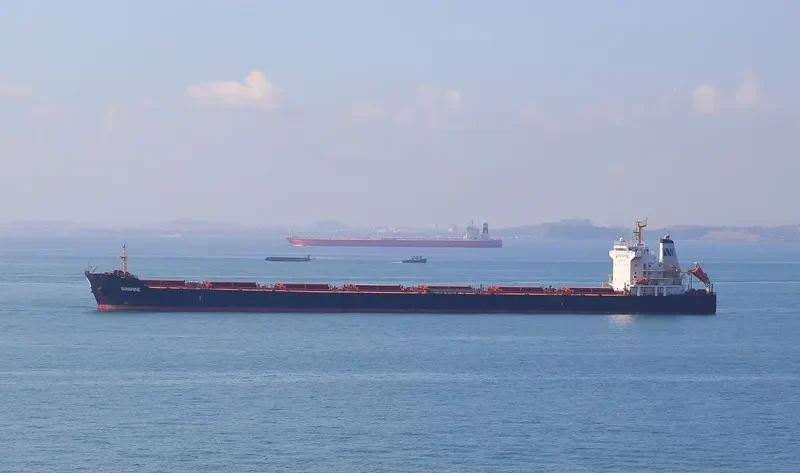 SELINA Bulk Carrier IMO 9473183 photo 5