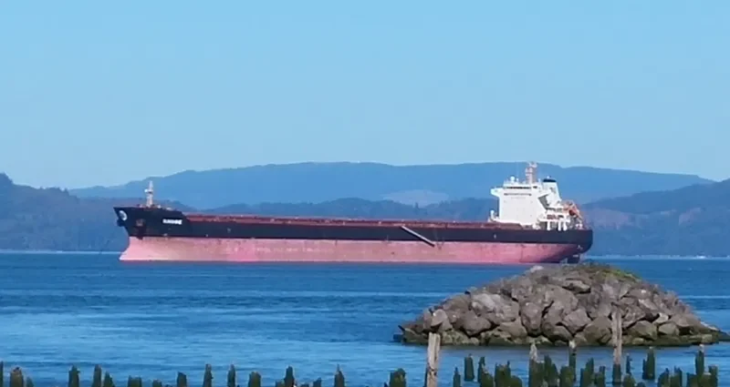 SELINA Bulk Carrier IMO 9473183 photo 8