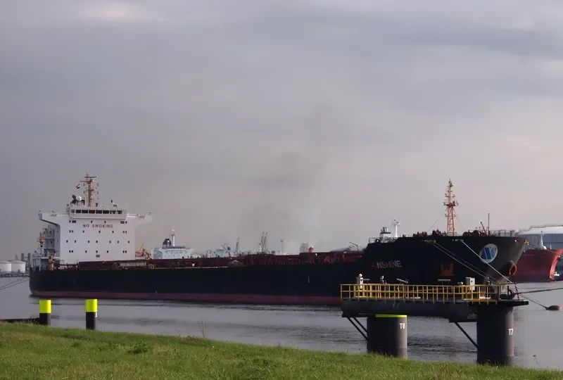 SELINA Bulk Carrier IMO 9473183 photo 9
