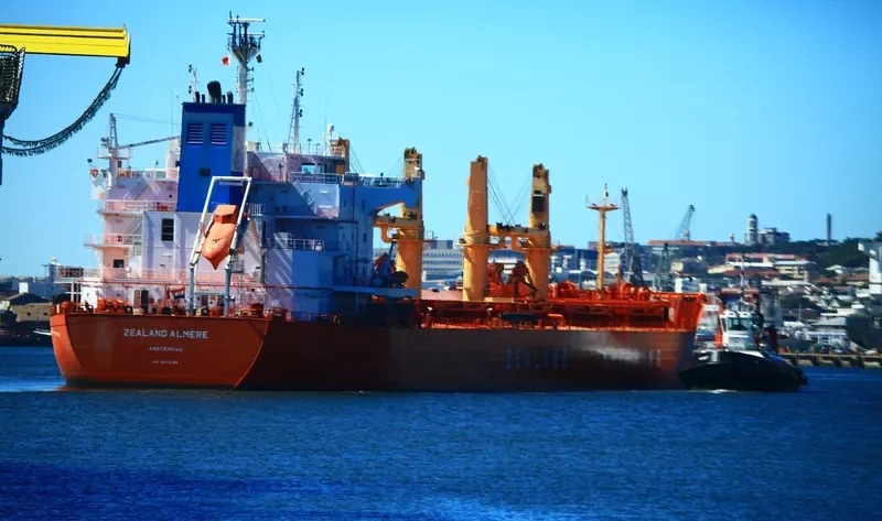 DD MARMARA Bulk Carrier IMO 9473195 photo 2