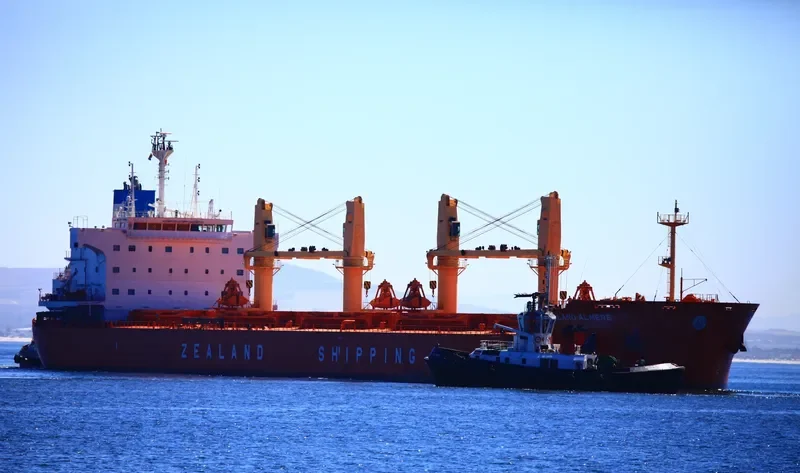 DD MARMARA Bulk Carrier IMO 9473195 photo 3