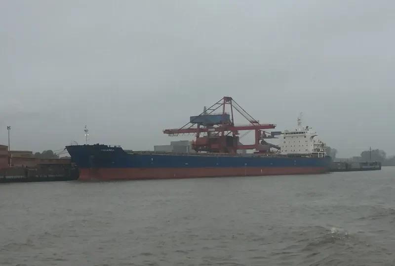 SPRING SNOW Bulk Carrier IMO 9473274