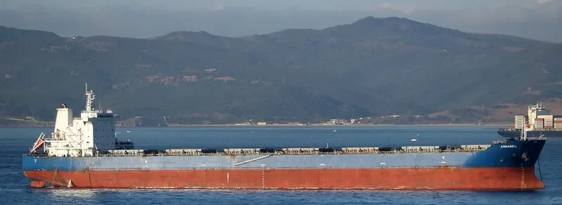 SPRING SNOW Bulk Carrier IMO 9473274 photo 2