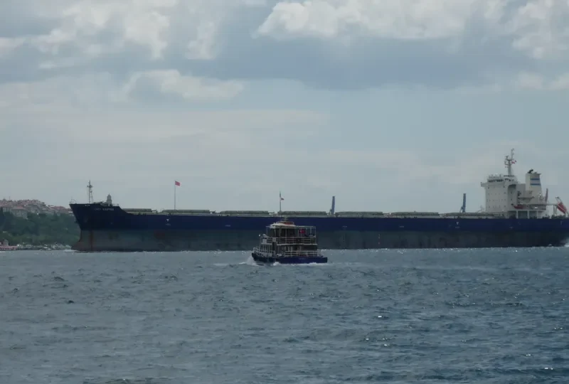 SPRING SNOW Bulk Carrier IMO 9473274 photo 3