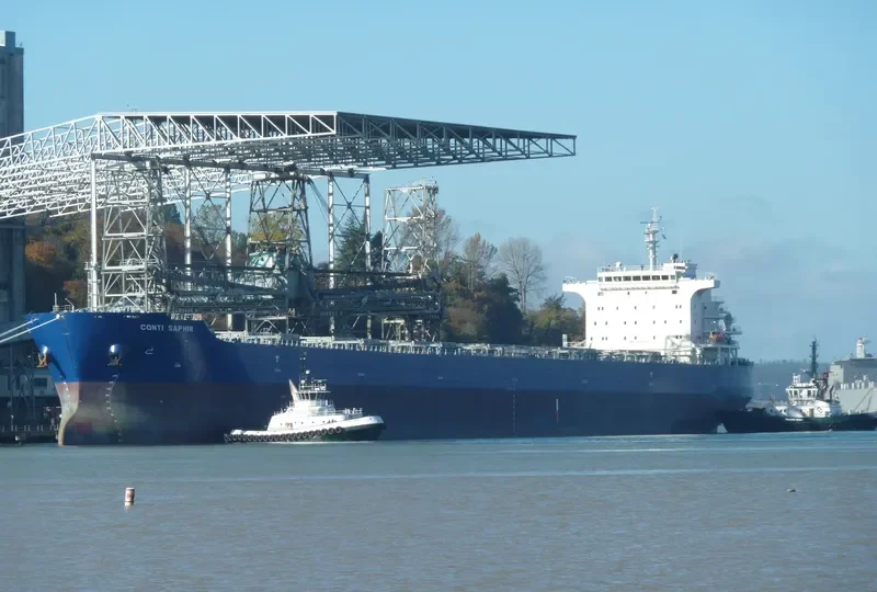 SPRING SNOW Bulk Carrier IMO 9473274 photo 7