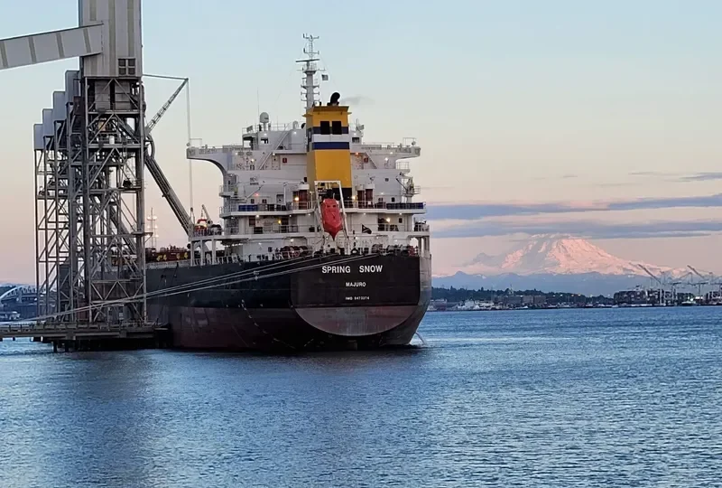 SPRING SNOW Bulk Carrier IMO 9473274 photo 8