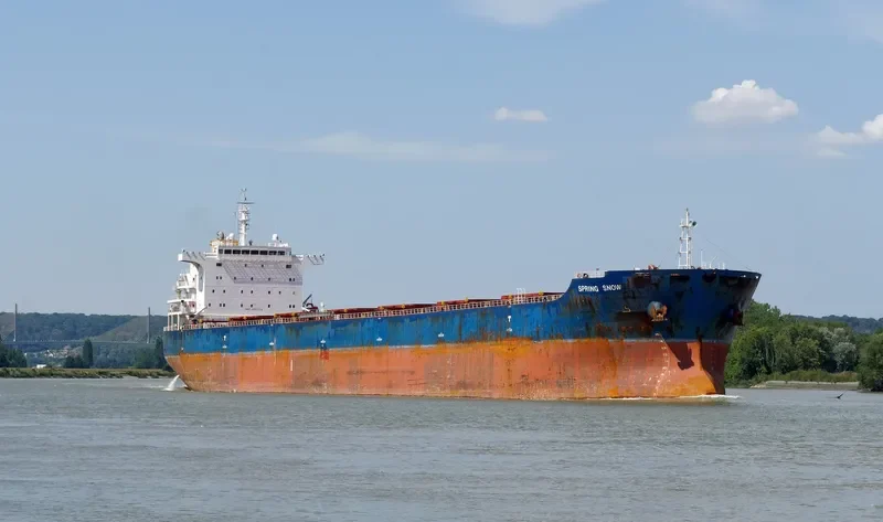 SPRING SNOW Bulk Carrier IMO 9473274 photo 9
