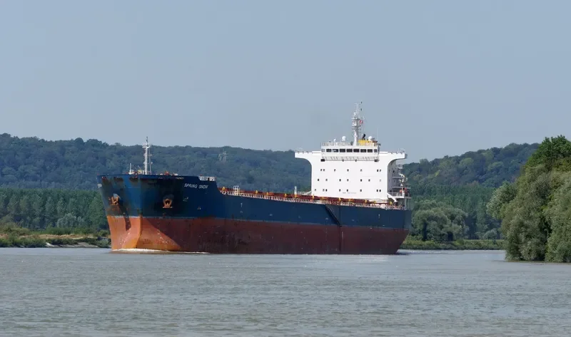 SPRING SNOW Bulk Carrier IMO 9473274 photo 10