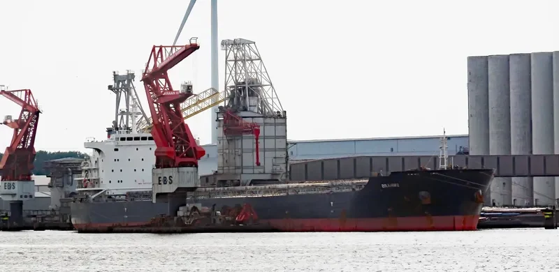 BRAHMS Bulk Carrier IMO 9473327 photo 4