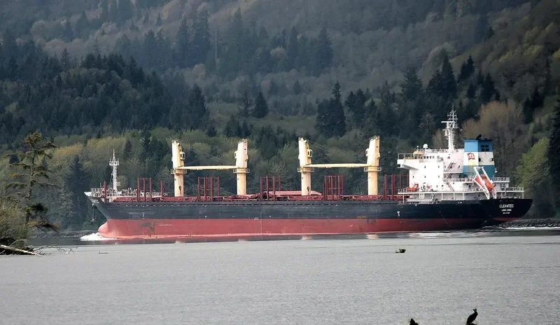 CLEANTEC Bulk Carrier IMO 9473418 photo 3