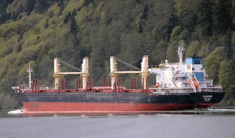 CLEANTEC Bulk Carrier IMO 9473418 photo 4