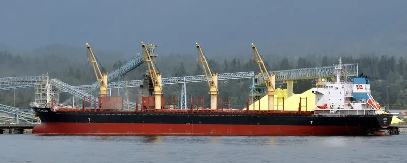 CLEANTEC Bulk Carrier IMO 9473418 photo 7