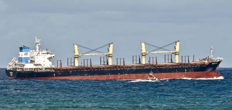 RIVERTEC Bulk Carrier IMO 9473420 photo 6