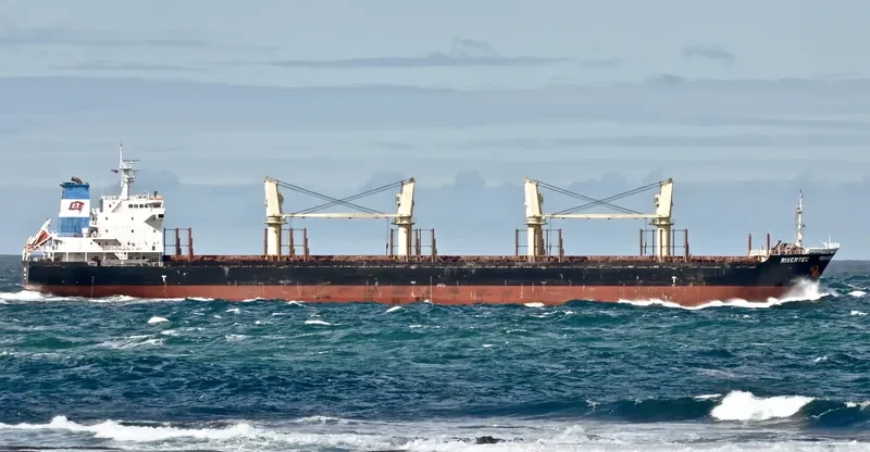 RIVERTEC Bulk Carrier IMO 9473420 photo 7