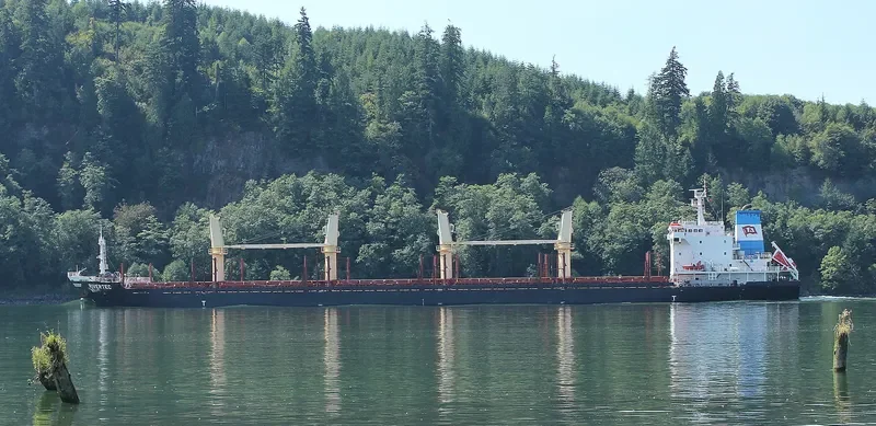 RIVERTEC Bulk Carrier IMO 9473420 photo 9
