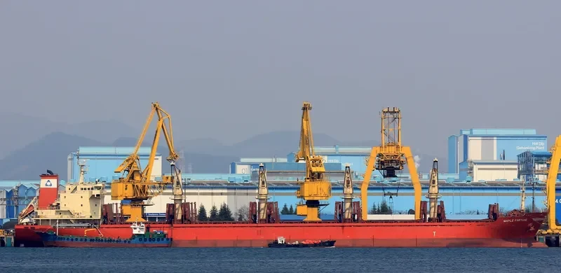 MAPLE FORTUNE Bulk Carrier IMO 9473432 photo 2