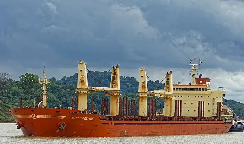 MAPLE FORTUNE Bulk Carrier IMO 9473432 photo 5