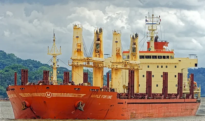 MAPLE FORTUNE Bulk Carrier IMO 9473432 photo 7