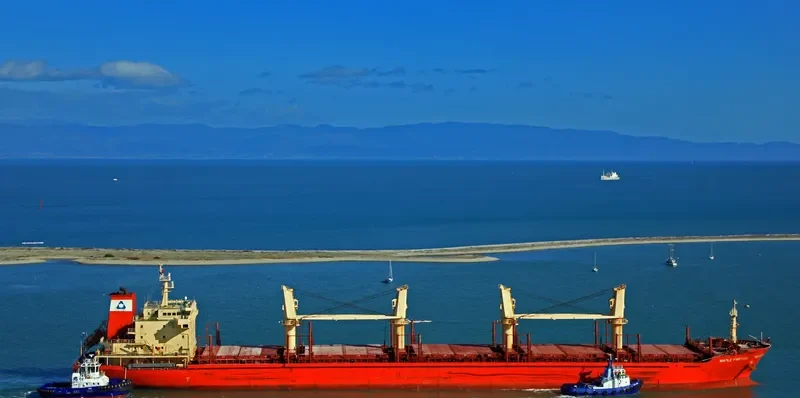 MAPLE FORTUNE Bulk Carrier IMO 9473432 photo 9