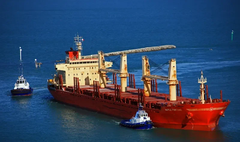 MAPLE FORTUNE Bulk Carrier IMO 9473432 photo 10