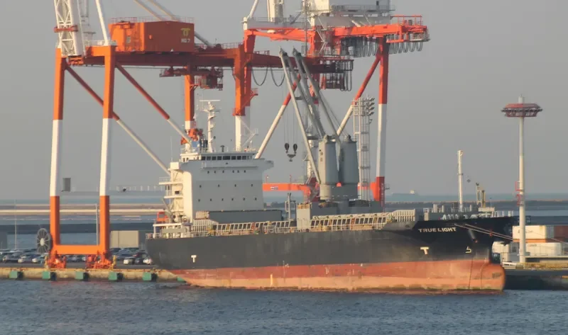 DS FAVOUR General Cargo IMO 9473523 photo 2