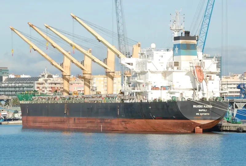 GLOBAL HARMONY Bulk Carrier IMO 9473573 photo 2