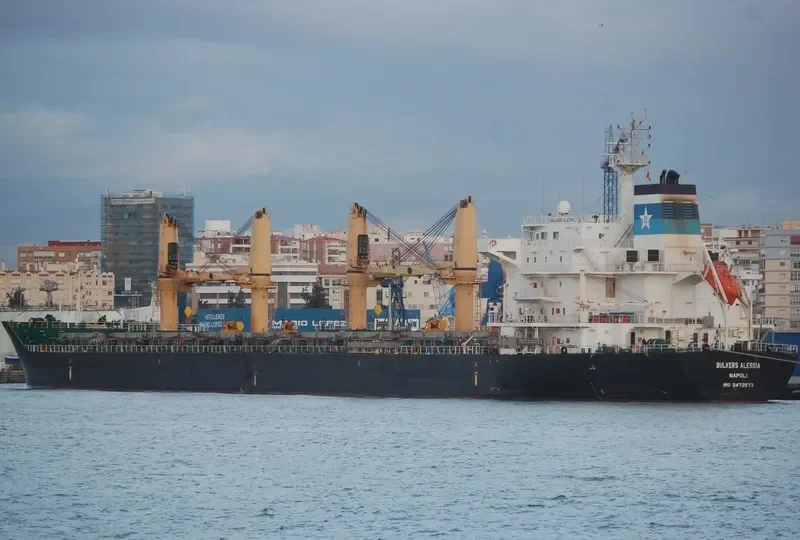 GLOBAL HARMONY Bulk Carrier IMO 9473573 photo 4
