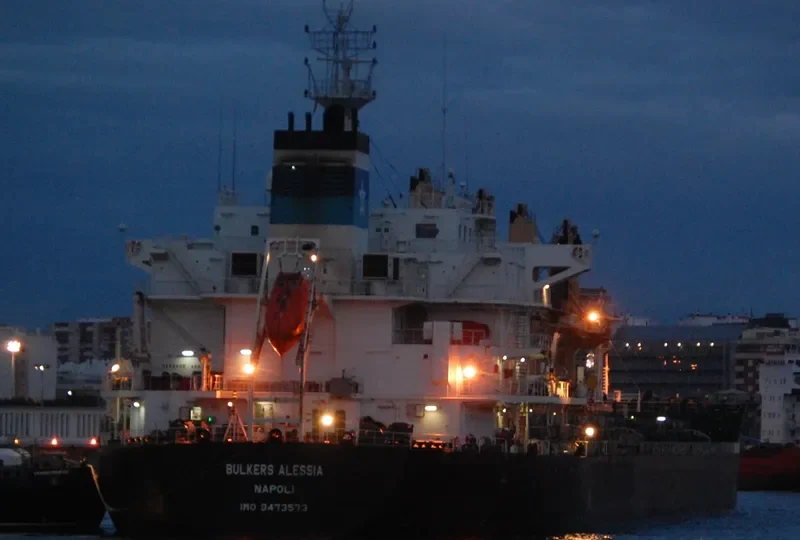 GLOBAL HARMONY Bulk Carrier IMO 9473573 photo 5