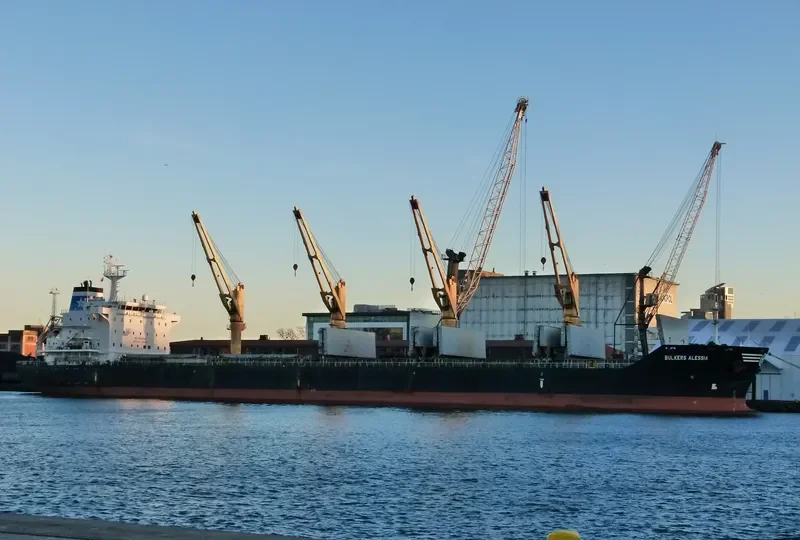 GLOBAL HARMONY Bulk Carrier IMO 9473573 photo 6