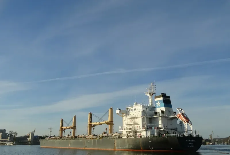 GLOBAL HARMONY Bulk Carrier IMO 9473573 photo 8